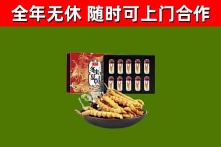 七台河市回收冬虫夏草价格